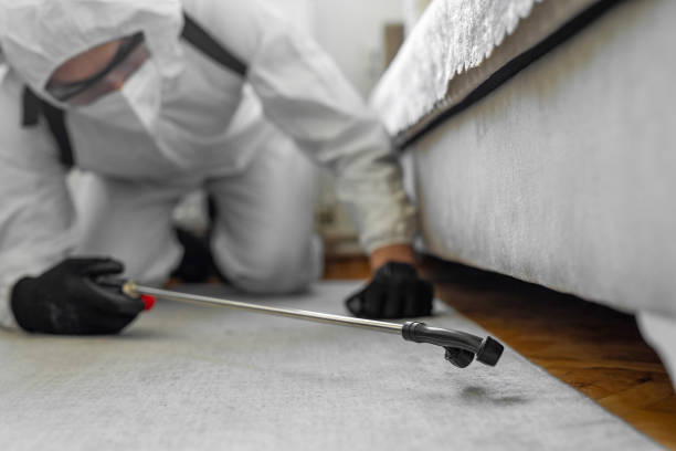 Professional Termite Control technician working in Gainesville, GA