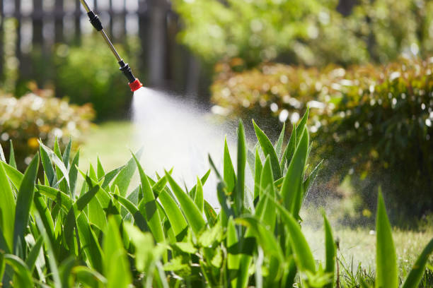 24/7 Emergency Termite Control experts in Gainesville, GA