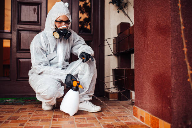Reliable Termite Control contractor in Gainesville, GA by Nex Pest Control